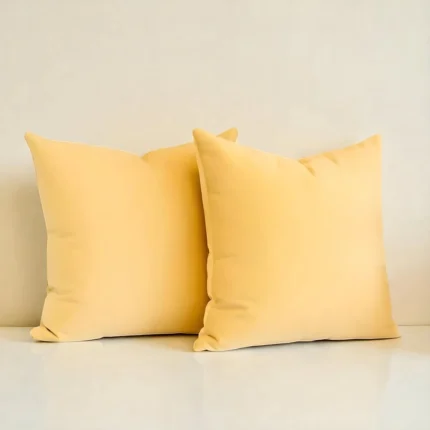 Buttercream Velvet Cushion Set