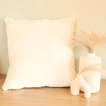 Cream Velvet Cushion