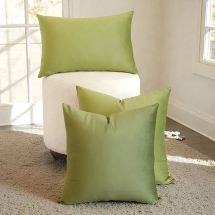 Sage Green Velvet Cushion Set